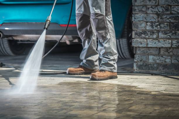 Best Roof Washing  in Powell, WY